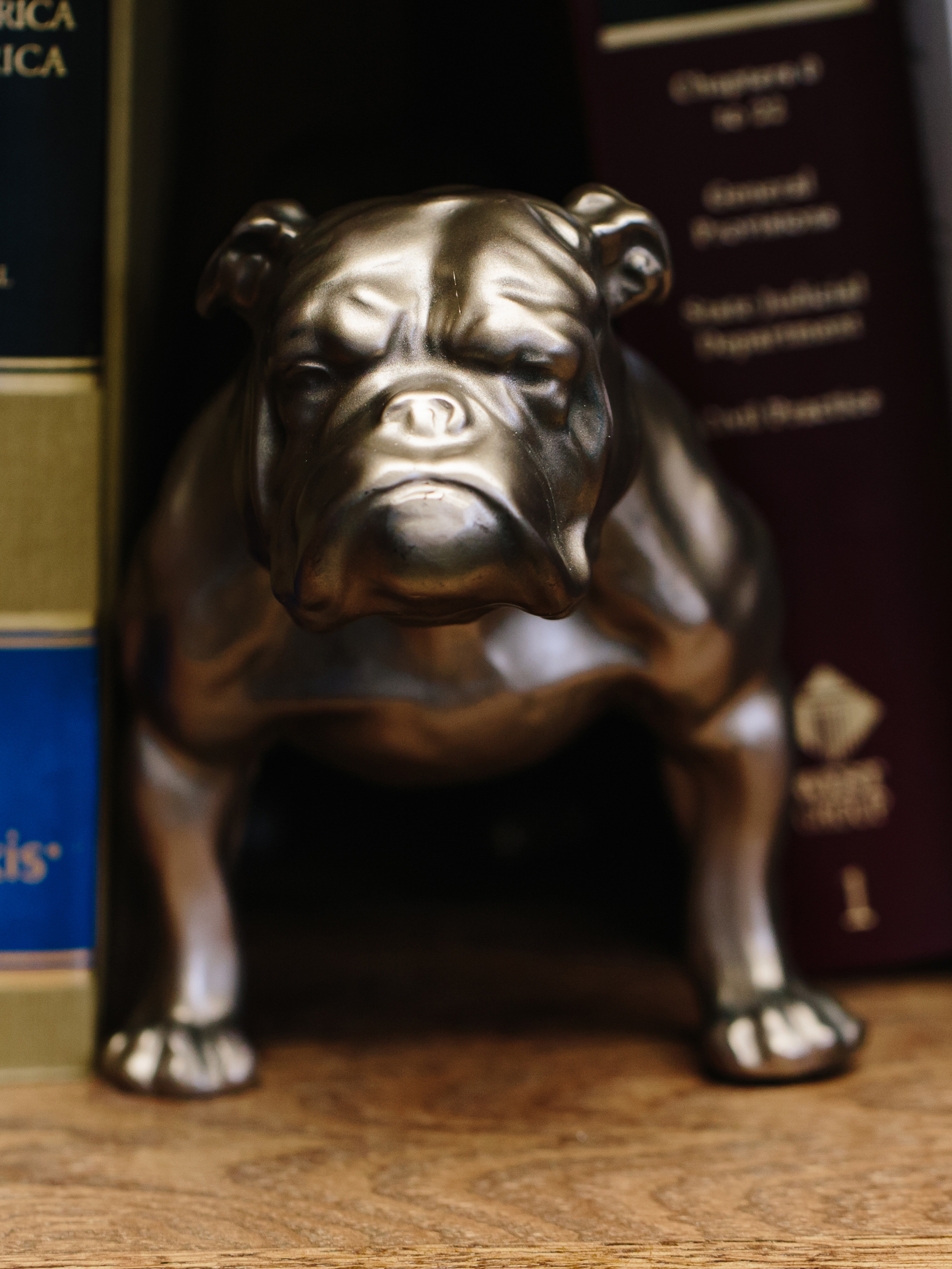 Mascot harlan filled 2024